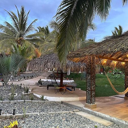 Casa Las Palmas Playa La Saladita Zihuatanejo Exteriér fotografie
