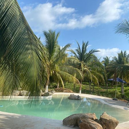 Casa Las Palmas Playa La Saladita Zihuatanejo Exteriér fotografie