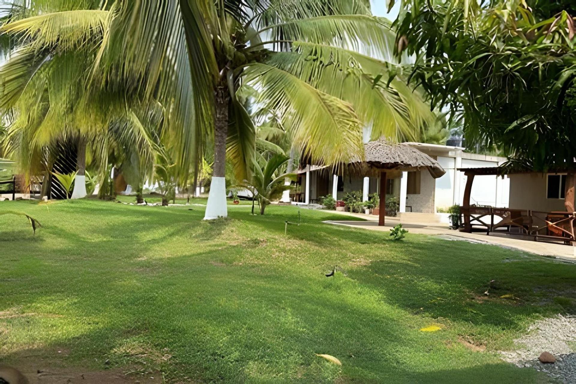 Casa Las Palmas Playa La Saladita Zihuatanejo Exteriér fotografie