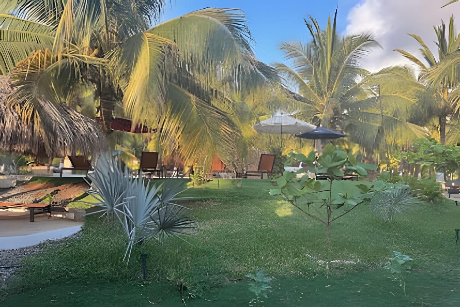 Casa Las Palmas Playa La Saladita Zihuatanejo Exteriér fotografie