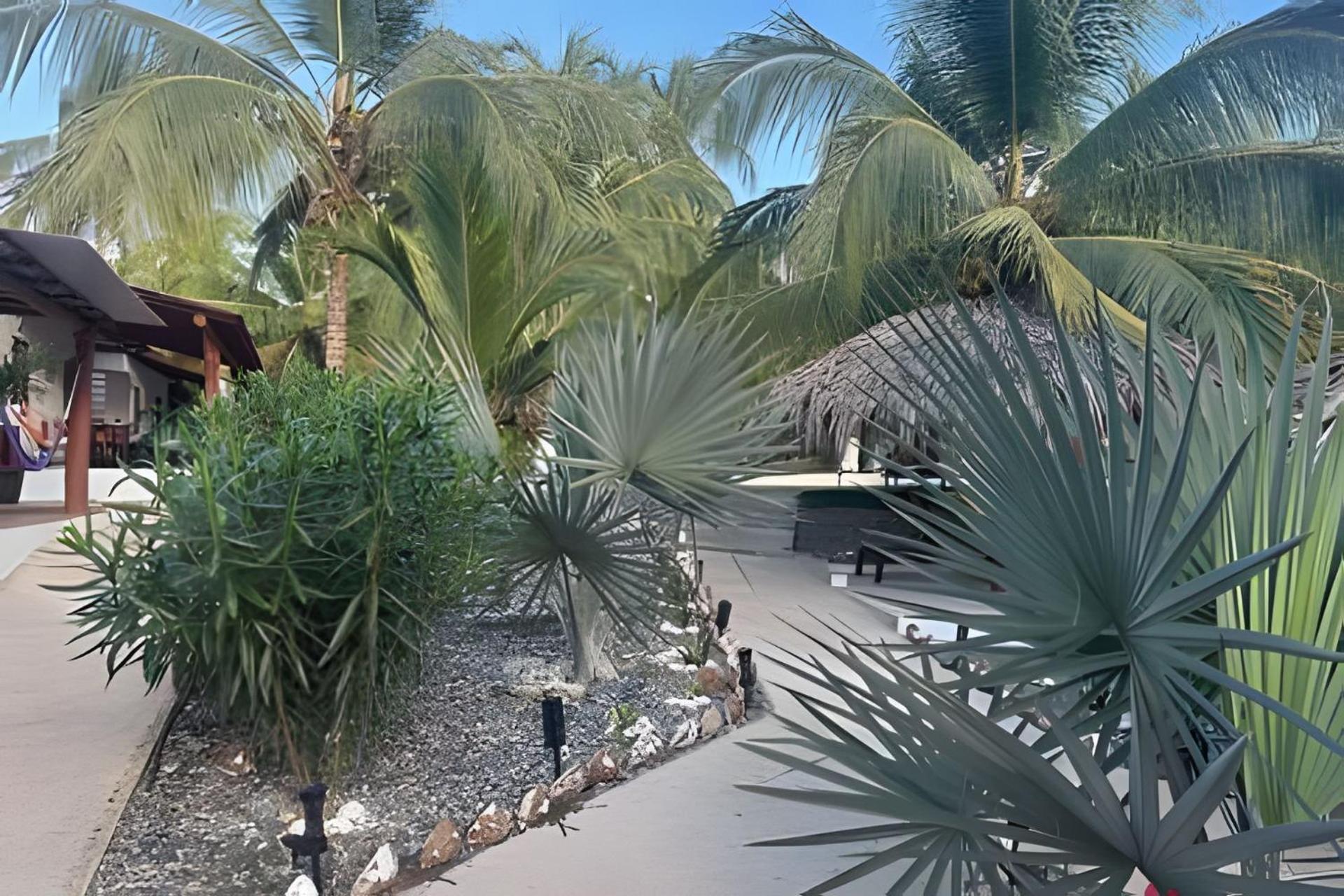 Casa Las Palmas Playa La Saladita Zihuatanejo Exteriér fotografie