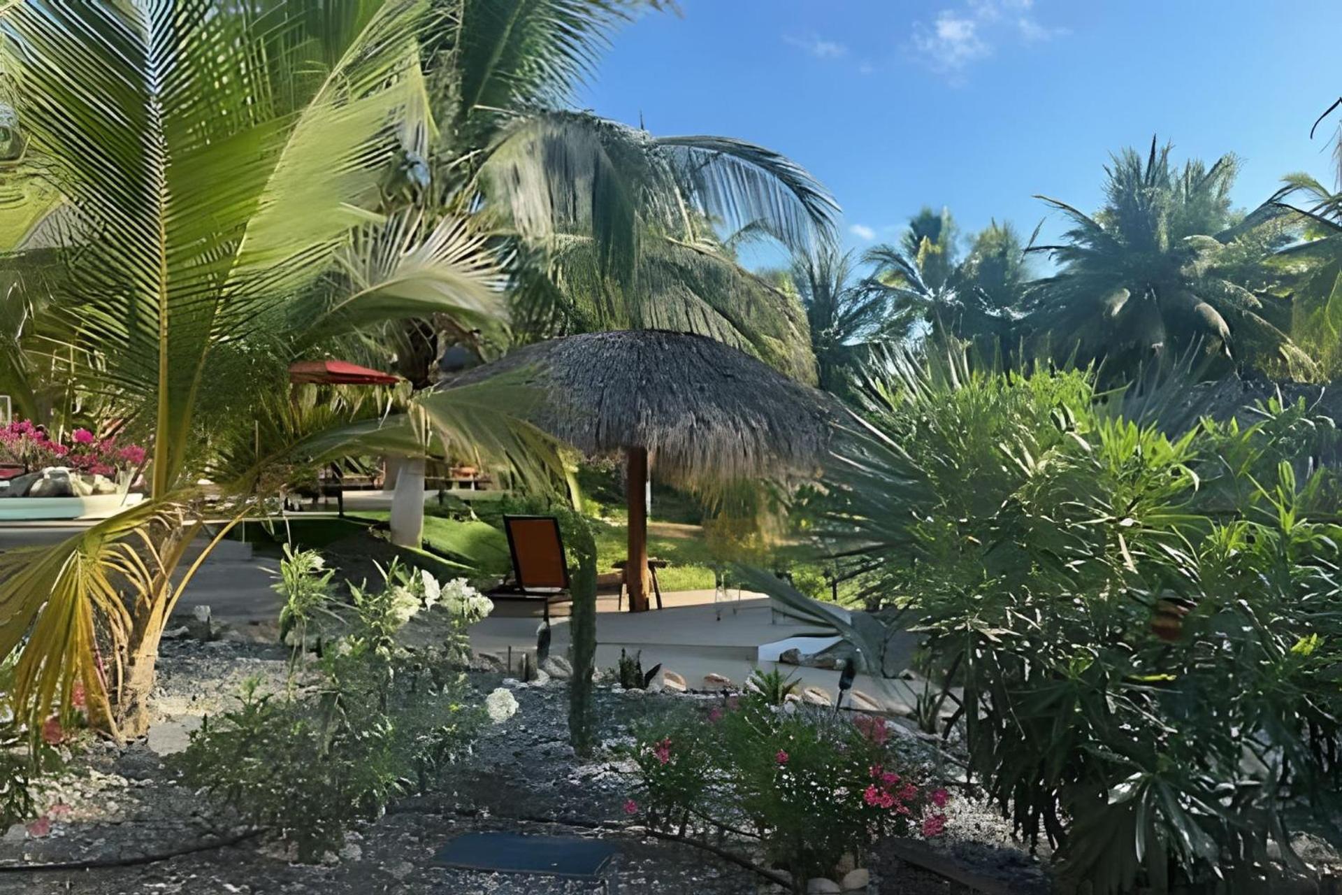 Casa Las Palmas Playa La Saladita Zihuatanejo Exteriér fotografie